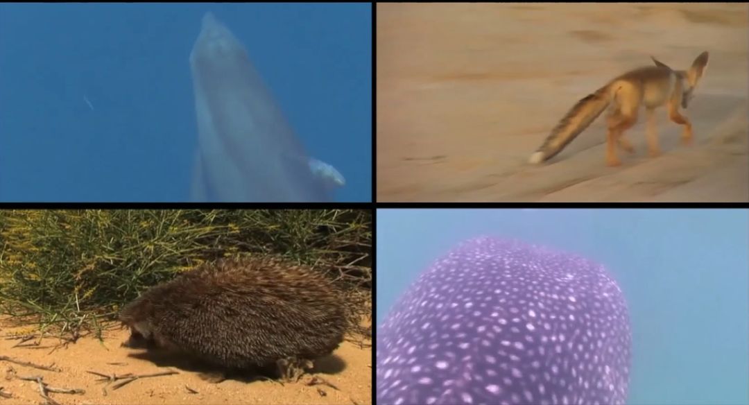 首页-PA集团有限公司官网入口