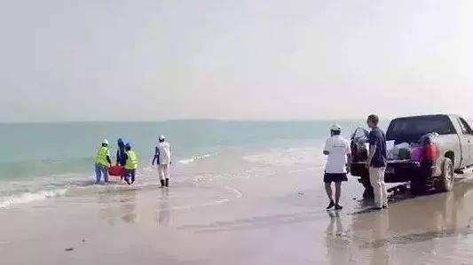 首页-PA集团有限公司官网入口