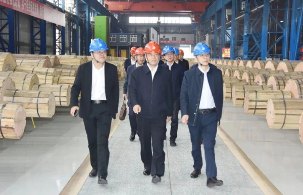 62E31FD0B2A3D0D8EA0FF97B40C_D4DD4709_2D2FA.jpg?e=