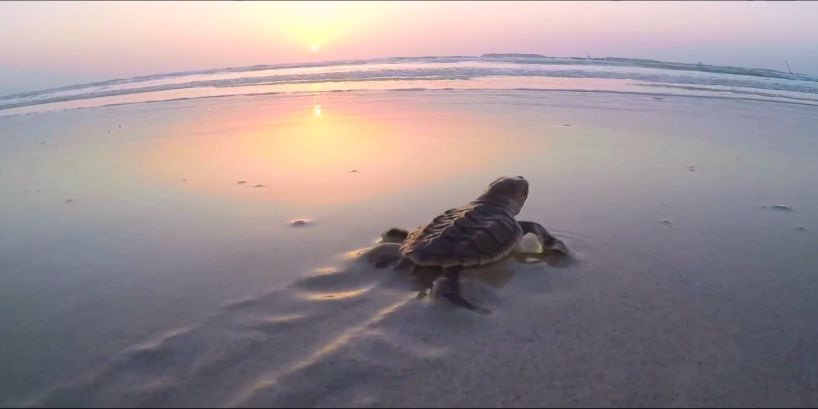 首页-PA集团有限公司官网入口