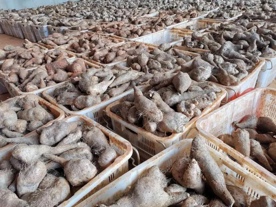 首页-PA集团有限公司官网入口