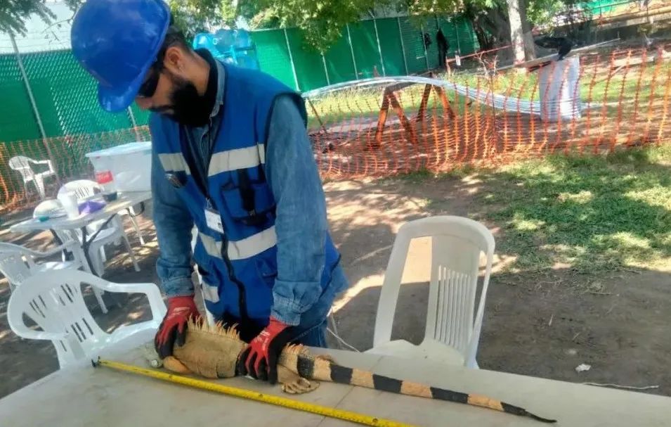 首页-PA集团有限公司官网入口