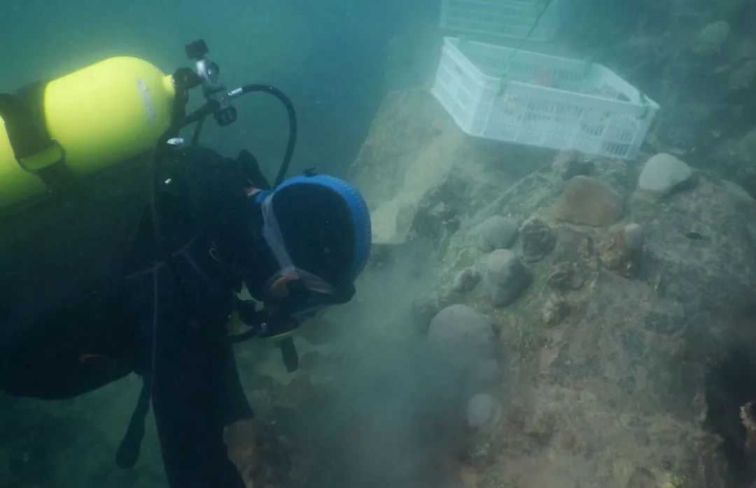 首页-PA集团有限公司官网入口