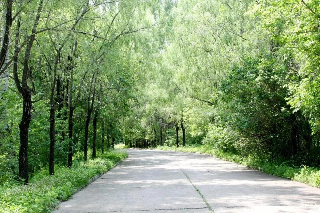 首页-PA集团有限公司官网入口