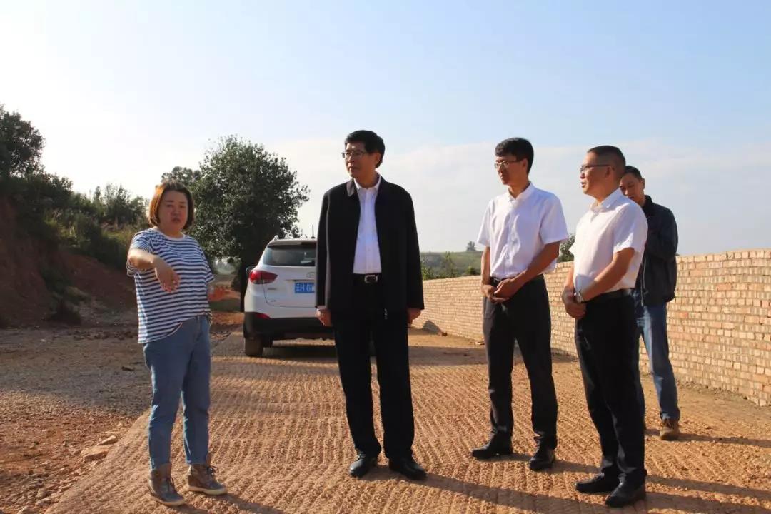 首页-PA集团有限公司官网入口