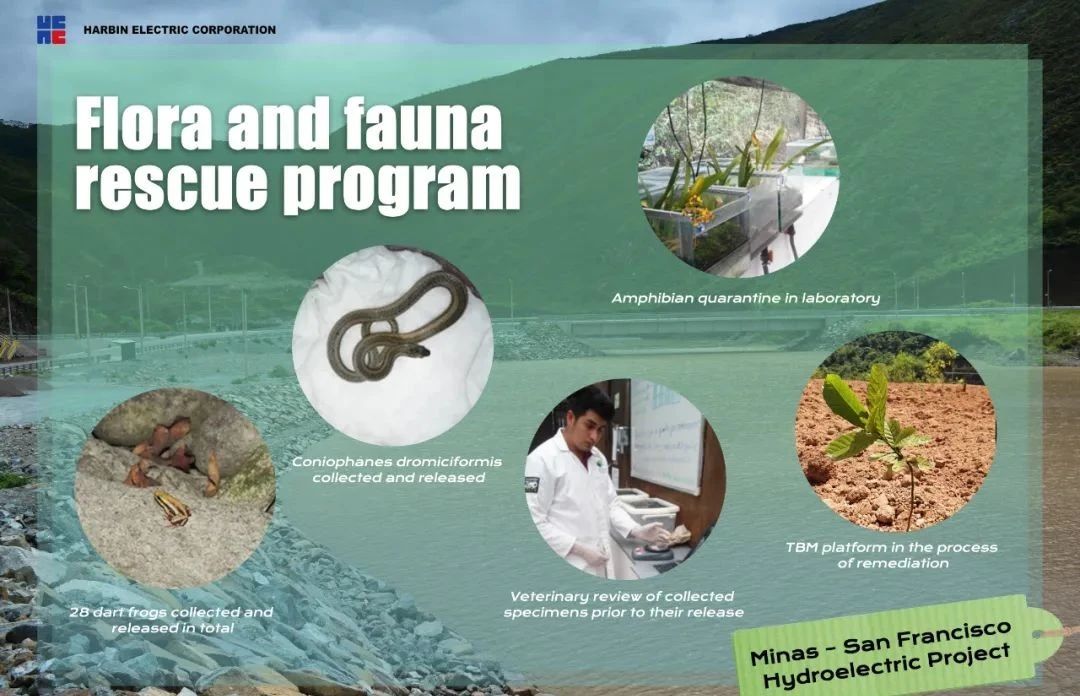 首页-PA集团有限公司官网入口