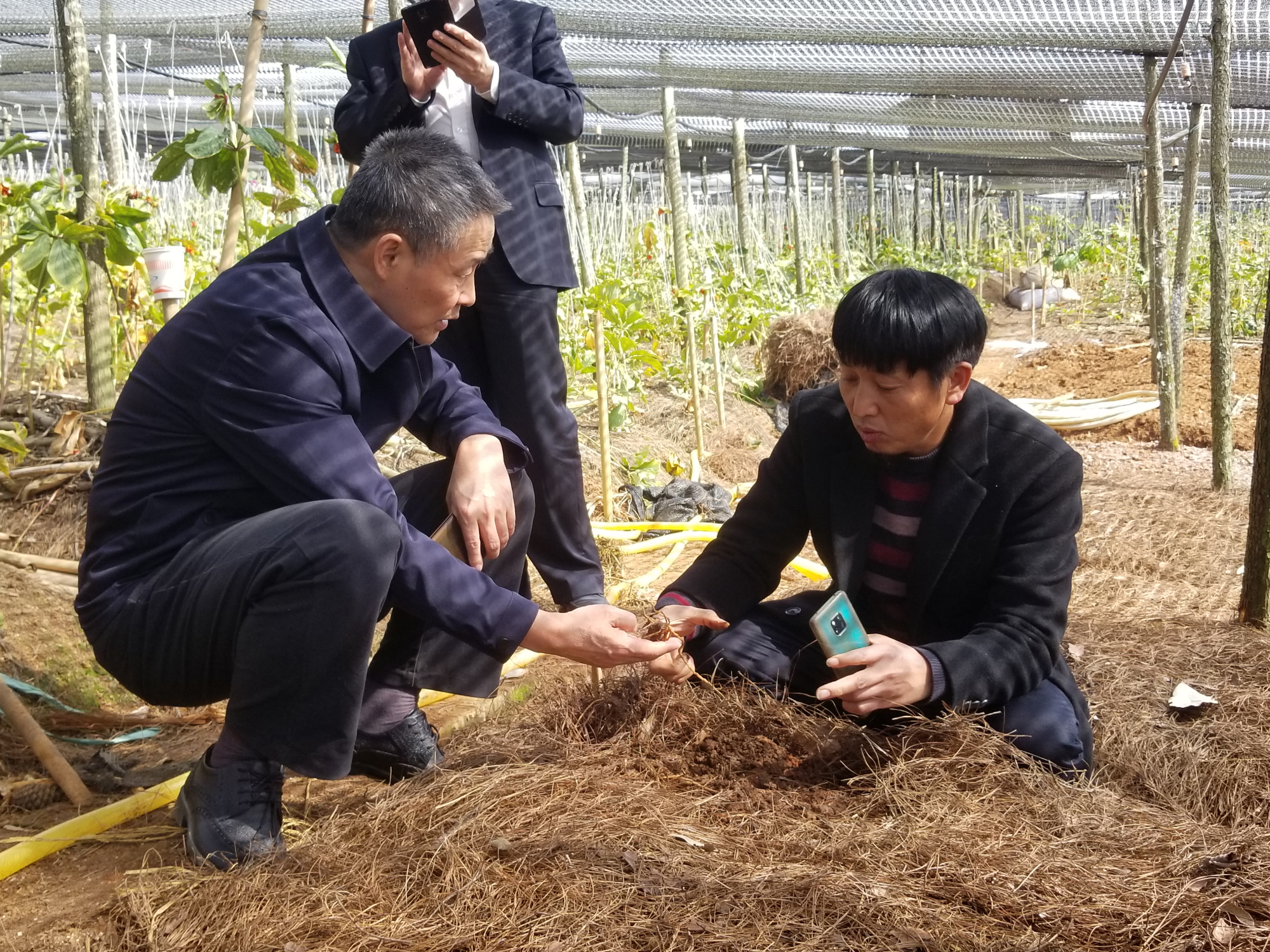 首页-PA集团有限公司官网入口