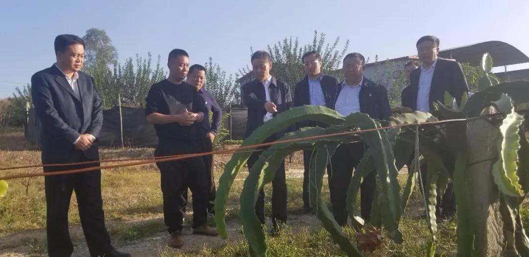 首页-PA集团有限公司官网入口