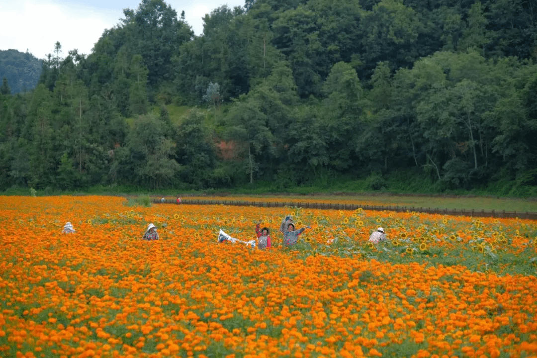 首页-PA集团有限公司官网入口