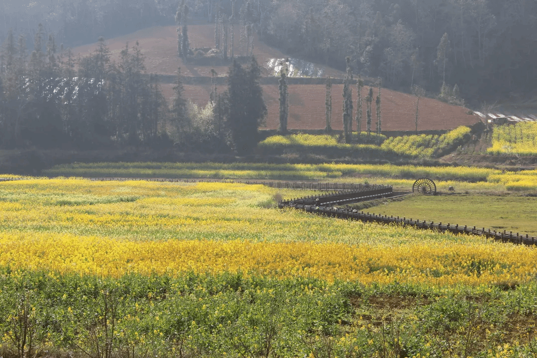 首页-PA集团有限公司官网入口