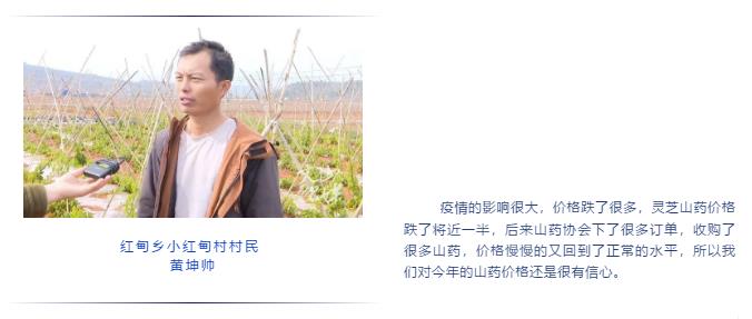 首页-PA集团有限公司官网入口